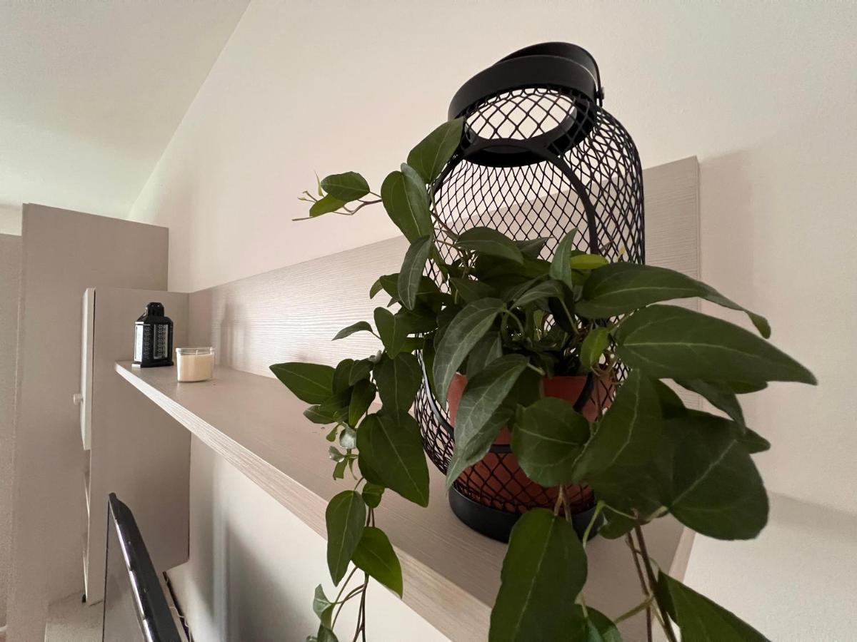 Shelby House Apartman Senago Kültér fotó